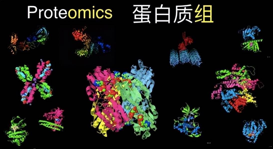 陈述：替代蛋⽩为食物供给开展机遇；数据：预造菜市场规模或破万亿元