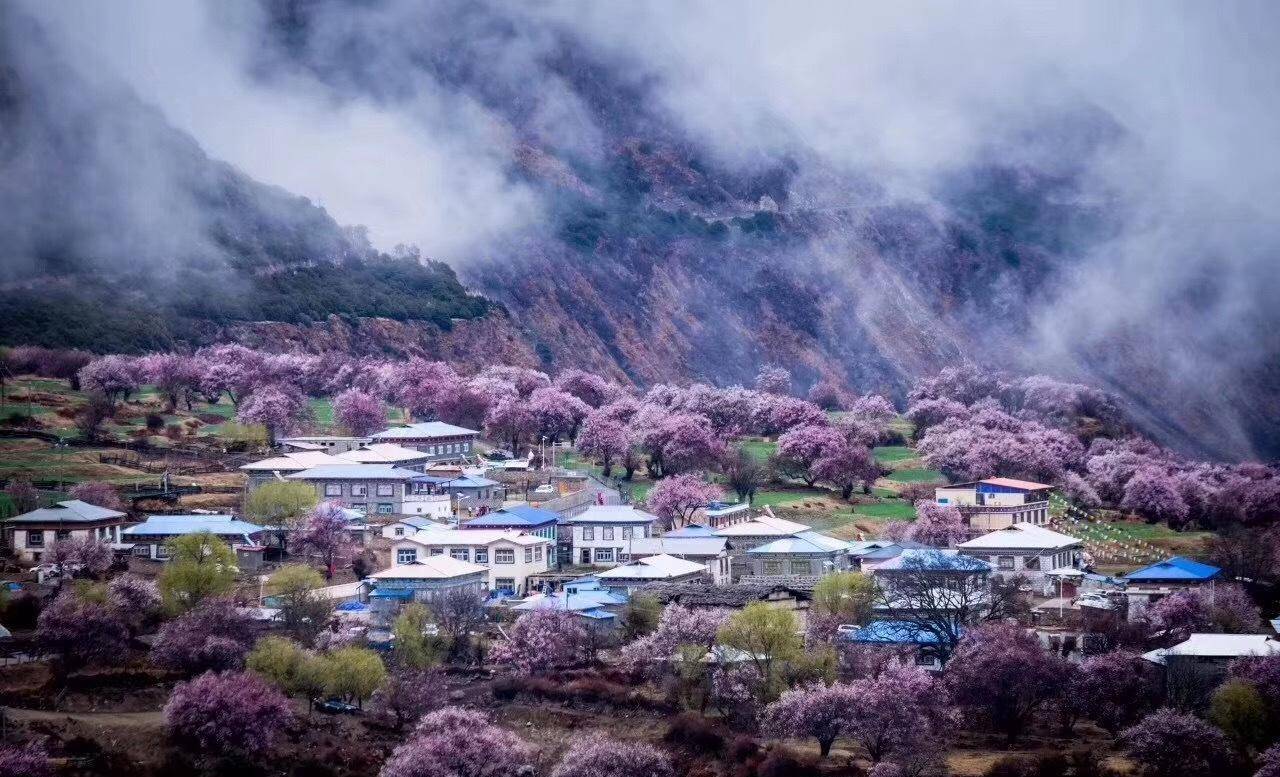 遇间旅游 - 三月必去赏花地「西藏林芝」解锁雪山下的桃花盛景！