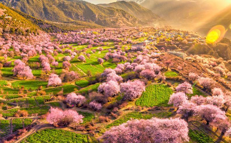 遇间旅游 - 三月必去赏花地「西藏林芝」解锁雪山下的桃花盛景！