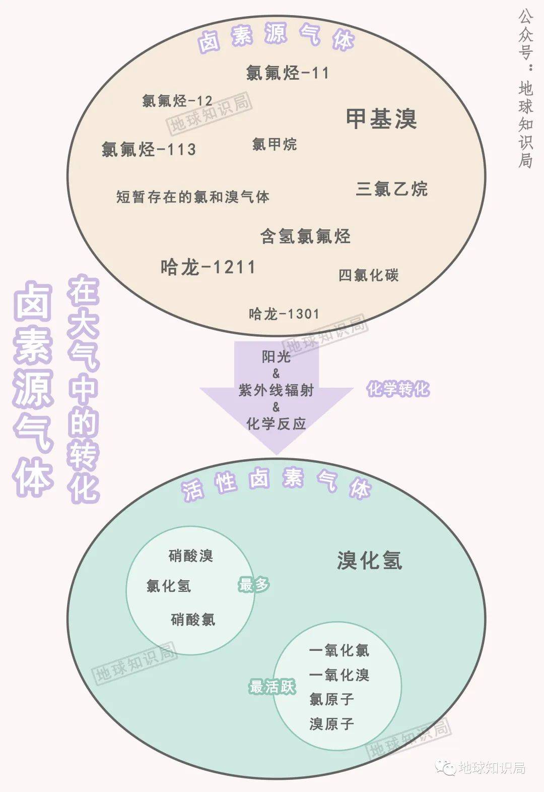 ��ת�ˣ������շ����ڱ�С��| ����ѧ�ʾ�