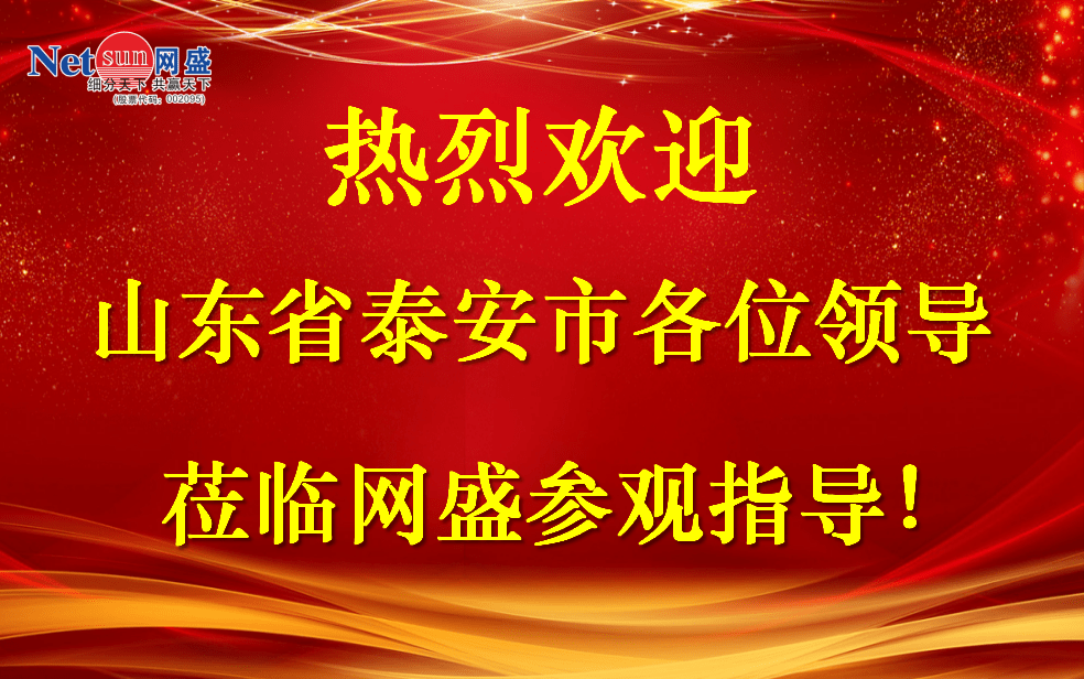 泰安市副市长刘峰梅一行莅临网盛生意宝参不雅考察