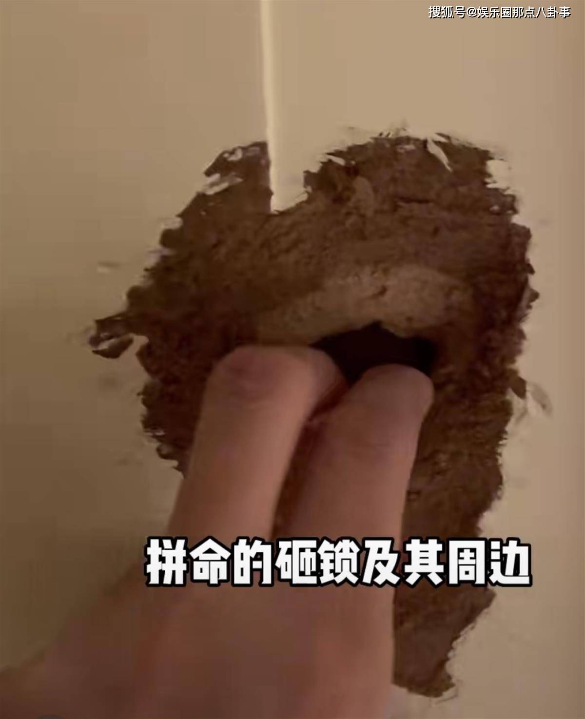 女演员在酒店（女演员酒店坠亡）
