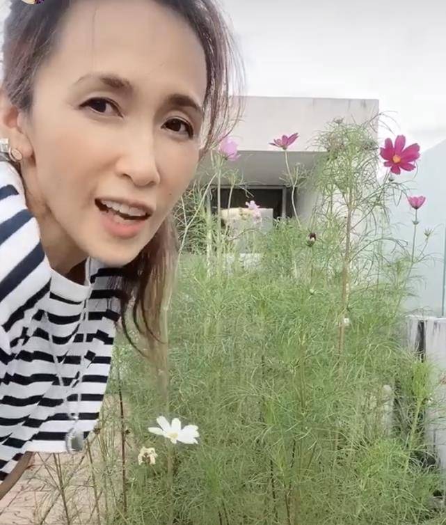 木村拓哉为哆啦A梦片子宣传，西拆白鞋帅气，向小叮当索吻太心爱