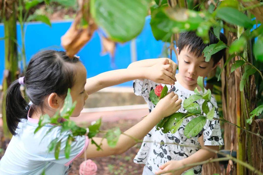 萌值爆表！小伴侣超爱的生长乐园，一路摘柚子、孵小鸡……