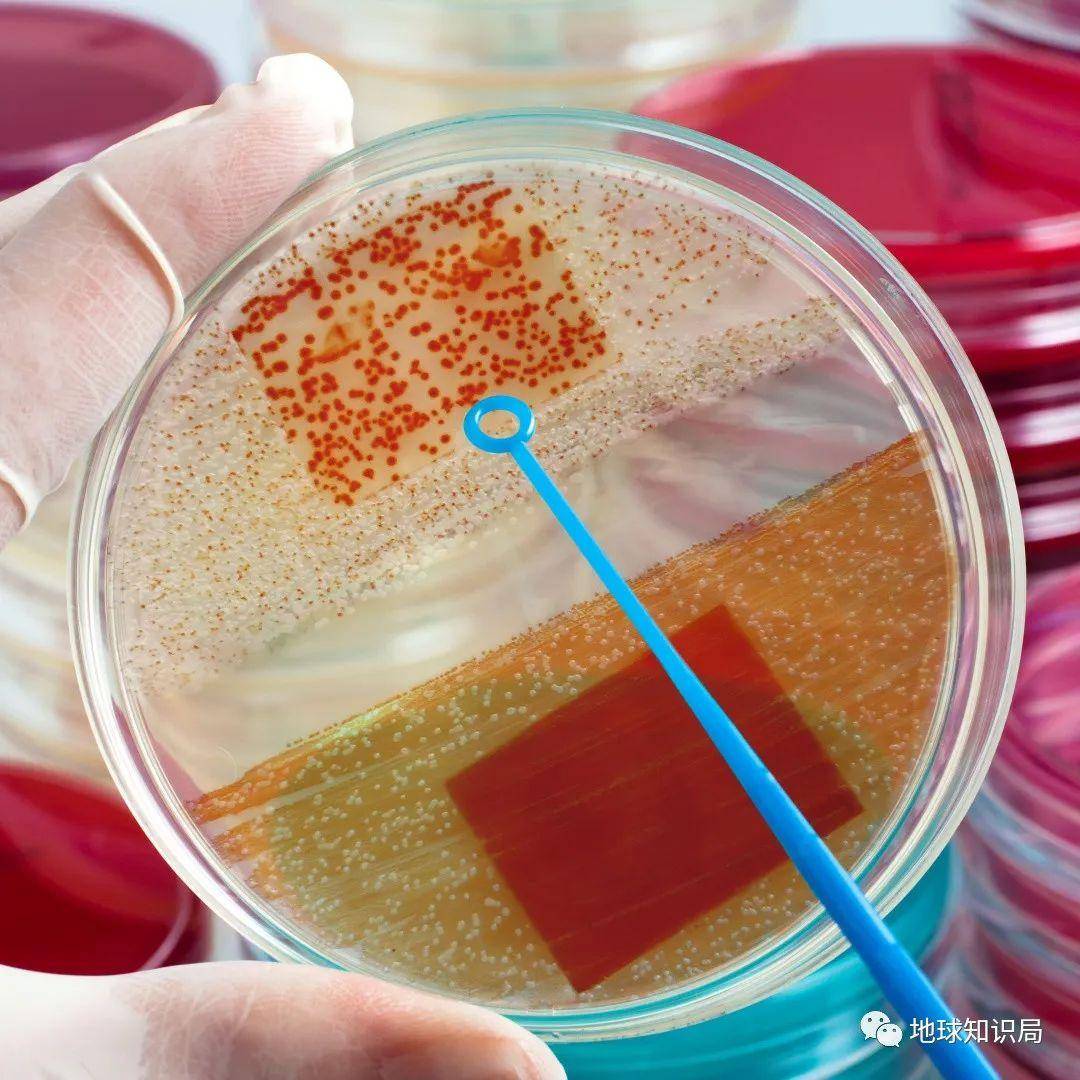 Ϊʲô����Ȧ��ô���ˡ��ס��ˣ�| ����ѧ�ʾ�