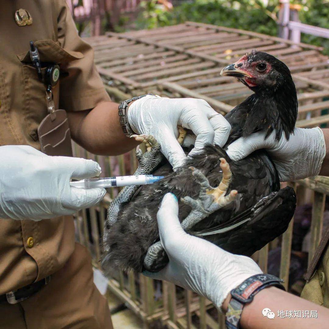 Ϊʲô����Ȧ��ô���ˡ��ס��ˣ�| ����ѧ�ʾ�