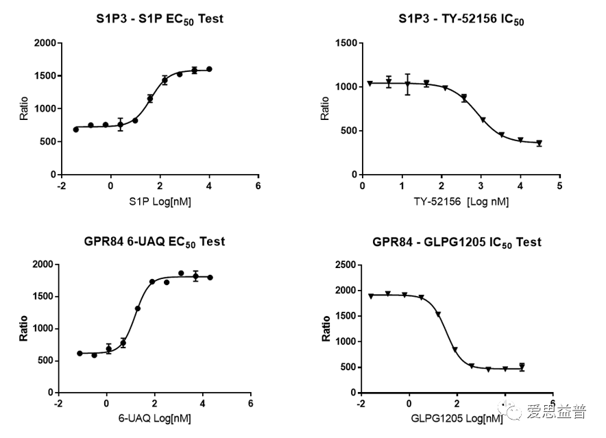 ����������֮GPCR�е������������Ӱ��