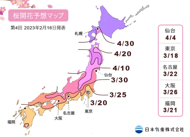 在日本灵魂与文化之都奈良，与30000棵樱花树共舞！