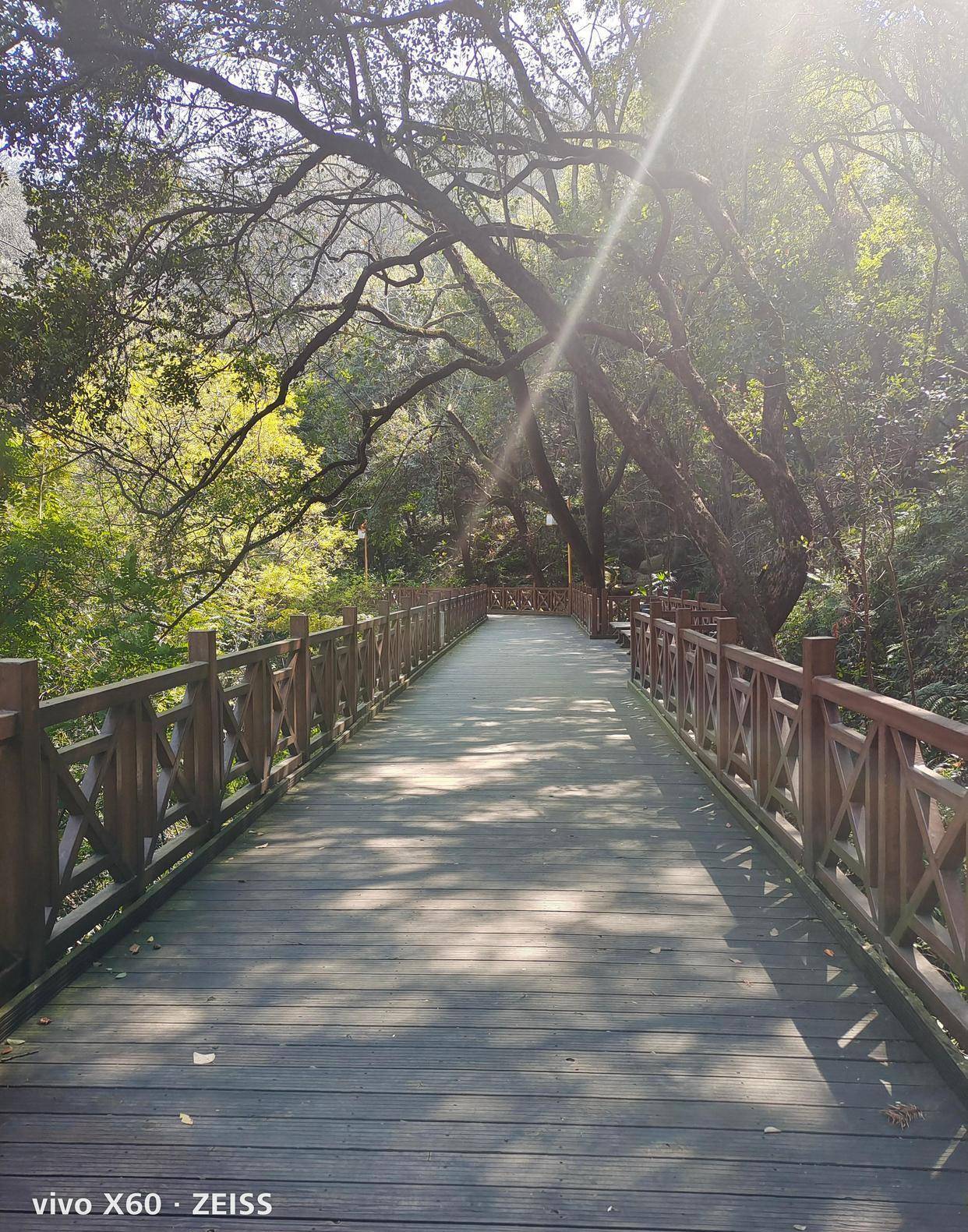 龙岩一绝天马山栈道（原创）