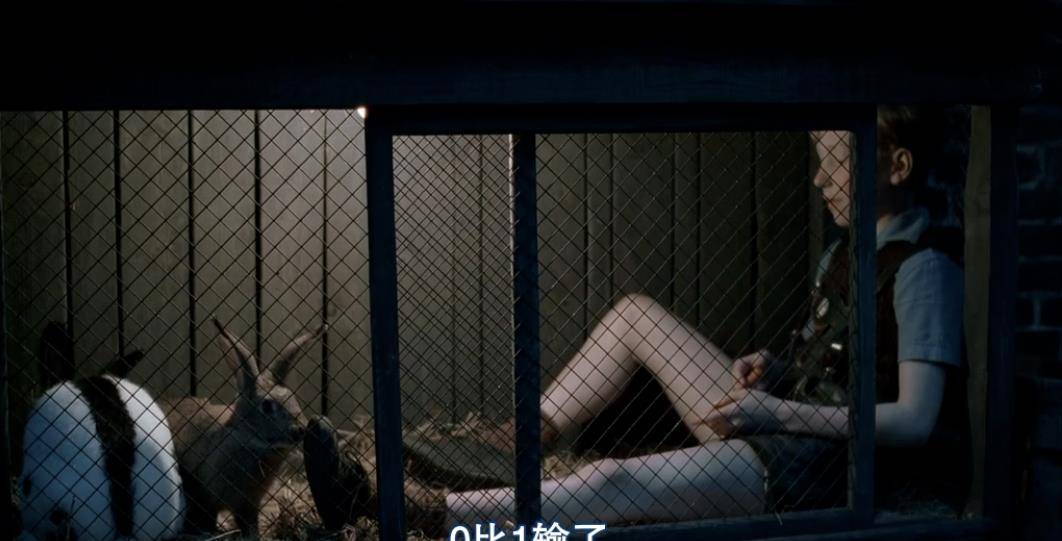 �����ȹ���-1954�겮�����漣