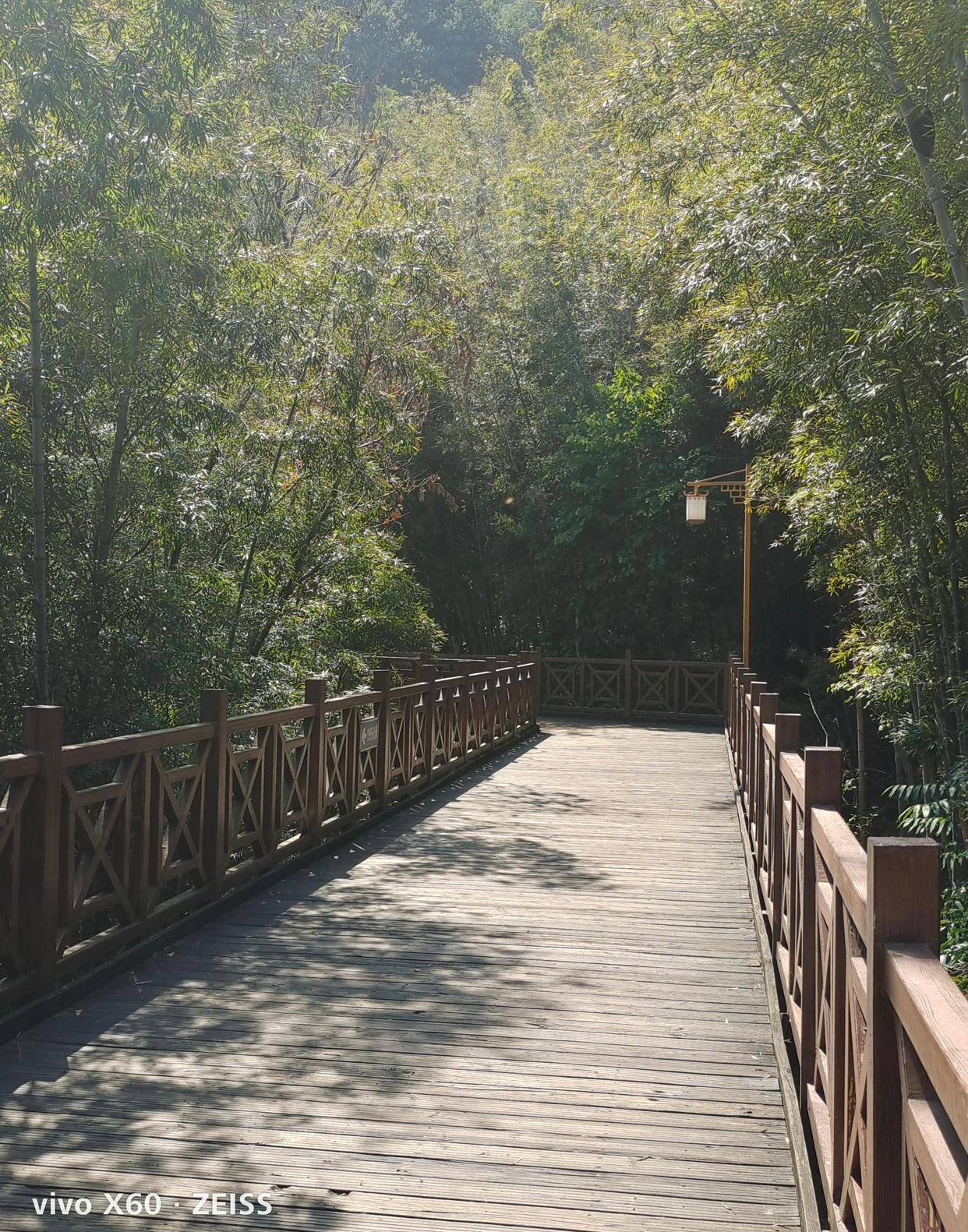 龙岩一绝天马山栈道（原创）