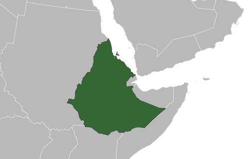 ���޹Ŵ�25���۹�������������������ʢʱ��������� ...