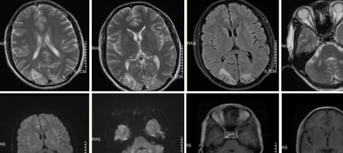 �Լ����没���͹�ע�Թ��������׶������ۺ���ح3���Ӷ�Ƭ ...