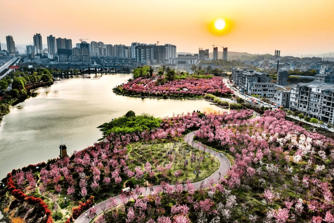 多彩贵州·花漾中国丨藏在贵州的春天·黔西南篇