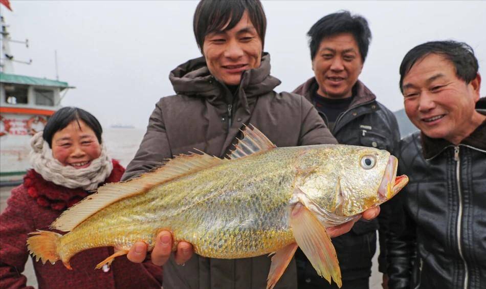 一年出水100万吨！“烂大街”的带鱼背后，其实潜伏干涸危机