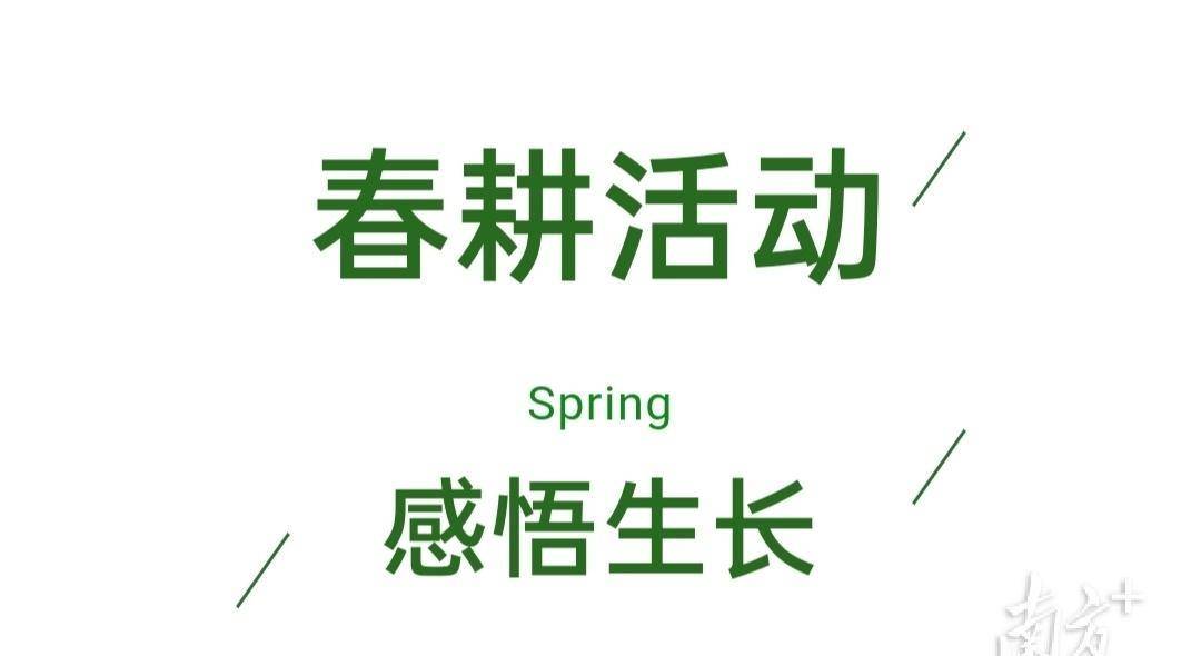 赏花、露营、摘果……滨海湾中心农业公园太好玩了！