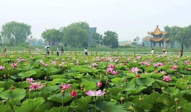 寿光又一小寡景区走红，光景漂亮旅客不多，仍是当地六大旅游品牌