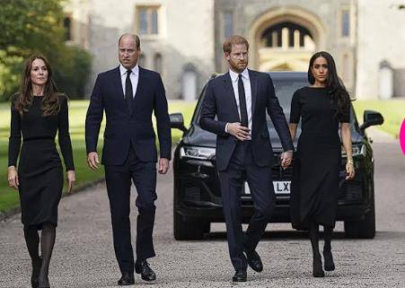 �𿨴�ɺ��ŦԼ���Ż��ƿ��࣬�Լ��������Ǵ���