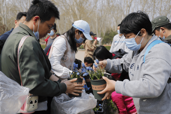 履行植树义务，共建斑斓大兴——大兴区全民义务植树系列活动启动仪式圆满胜利