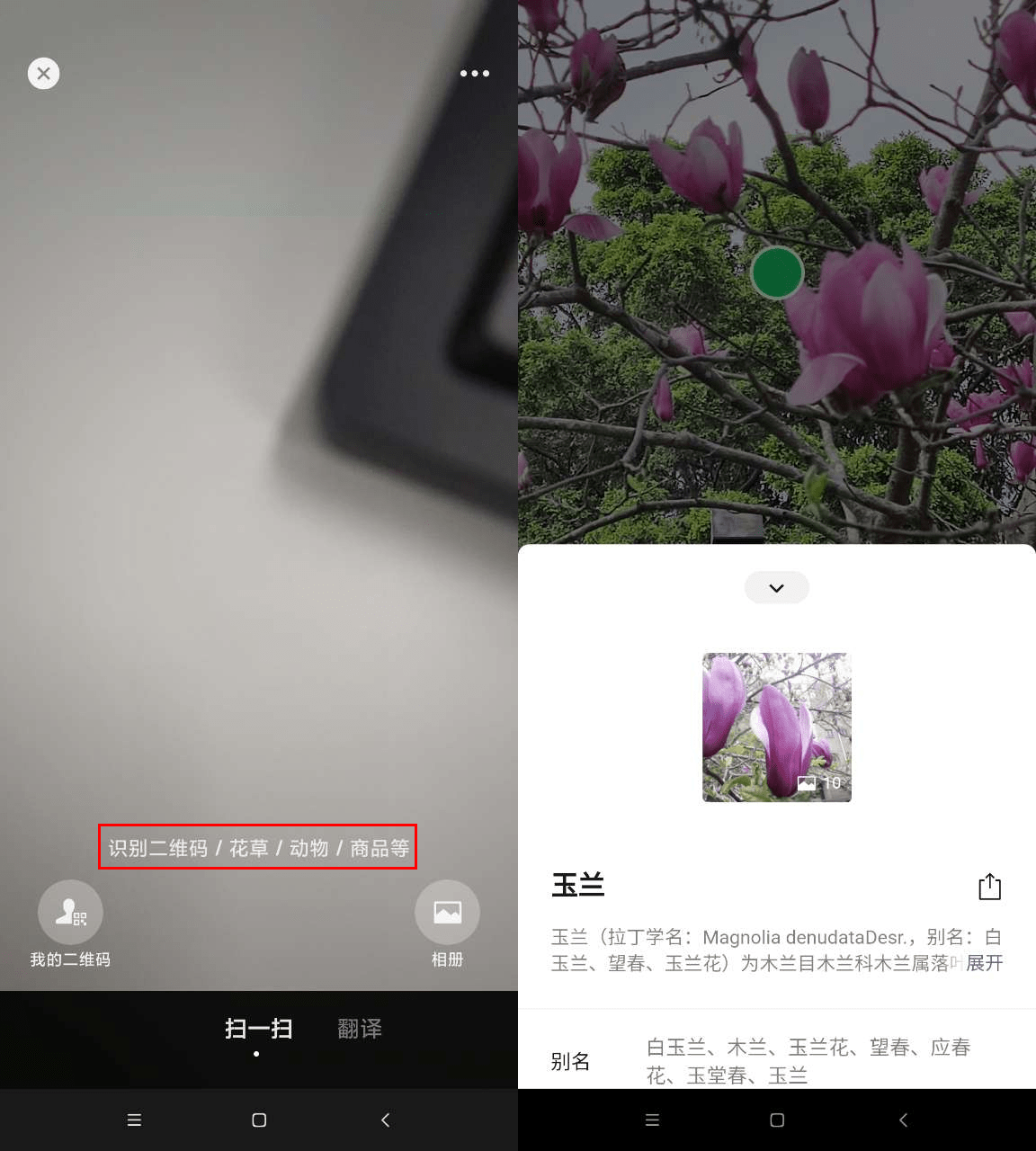 植物识别软件有哪些？