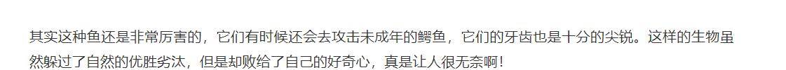 世界上最蠢的鱼, 被称为水中的傻狍子, 活了1亿年, 碰到人类之后差点灭绝？