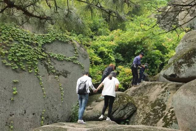 相约安徽 向春而行丨安庆宜秀：杨桥镇灵山石树景区山奇水秀