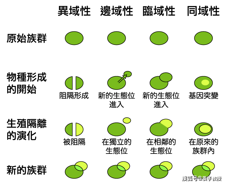 先有鸡仍是先有蛋？科学家给出了谜底