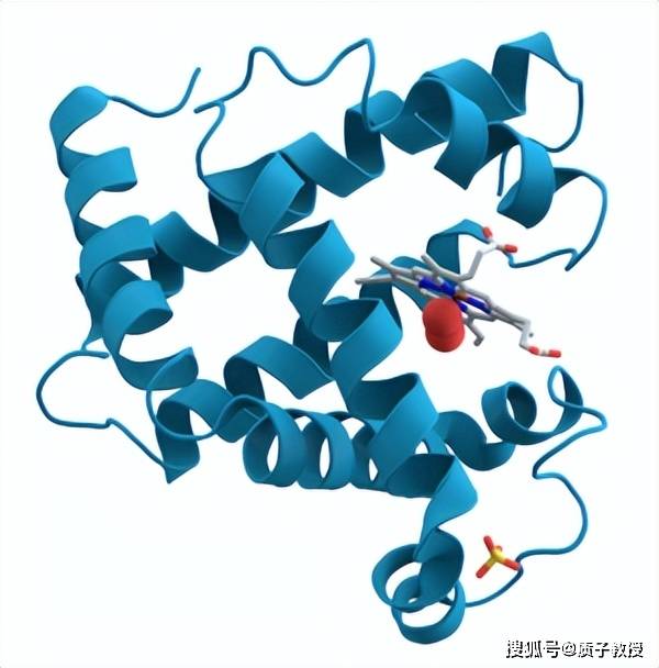 先有鸡仍是先有蛋？科学家给出了谜底