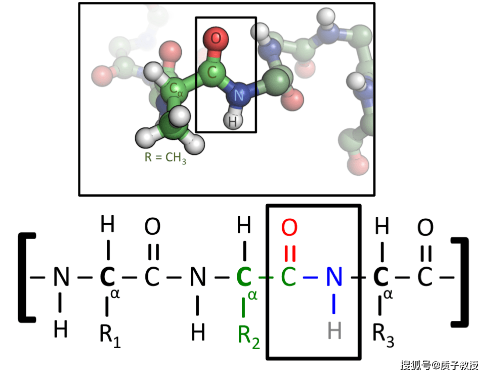 先有鸡仍是先有蛋？科学家给出了谜底