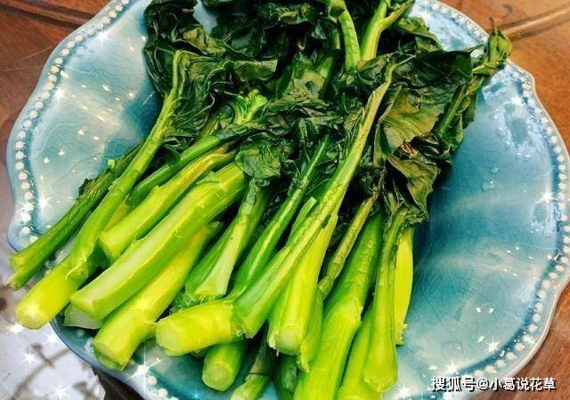 那些蔬菜的钙量、卵白量比肉更高，准确吃蔬菜，3个冷常识需掌握