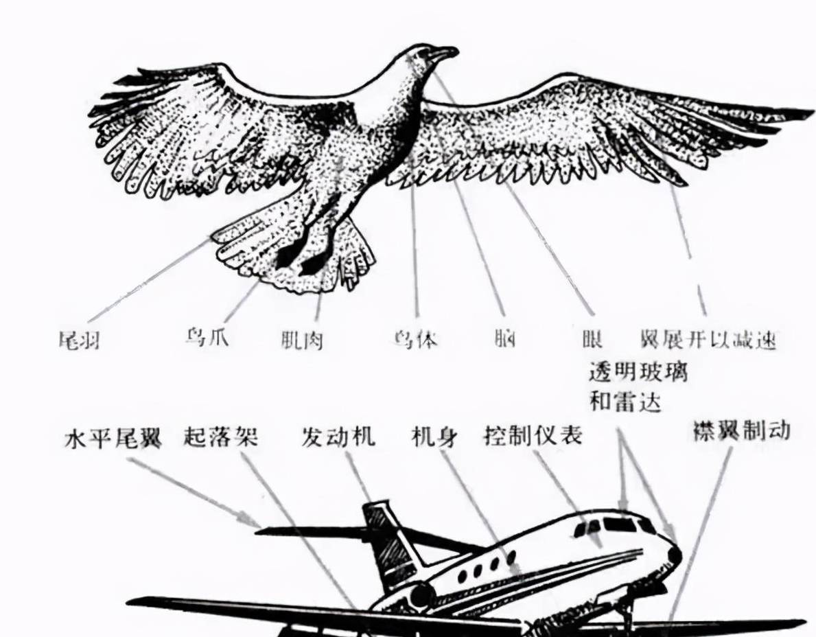 不鸡娃，用那三款神器，娃能学常识，还能收成快乐童年