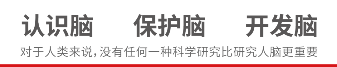 宣宾：言语加工老化和基于认知控造的调控｜【脑客中国·科研】第95位讲者