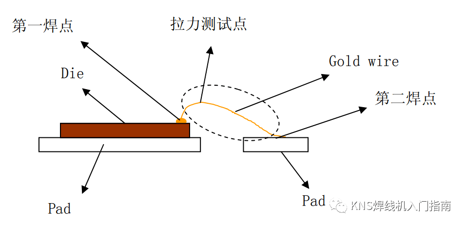 金线消费工艺尺度