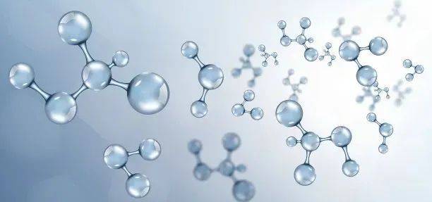 硫代葡萄糖苷、异硫氰酸酯、多酚、硫化物等活性物质具有调节改善人体免