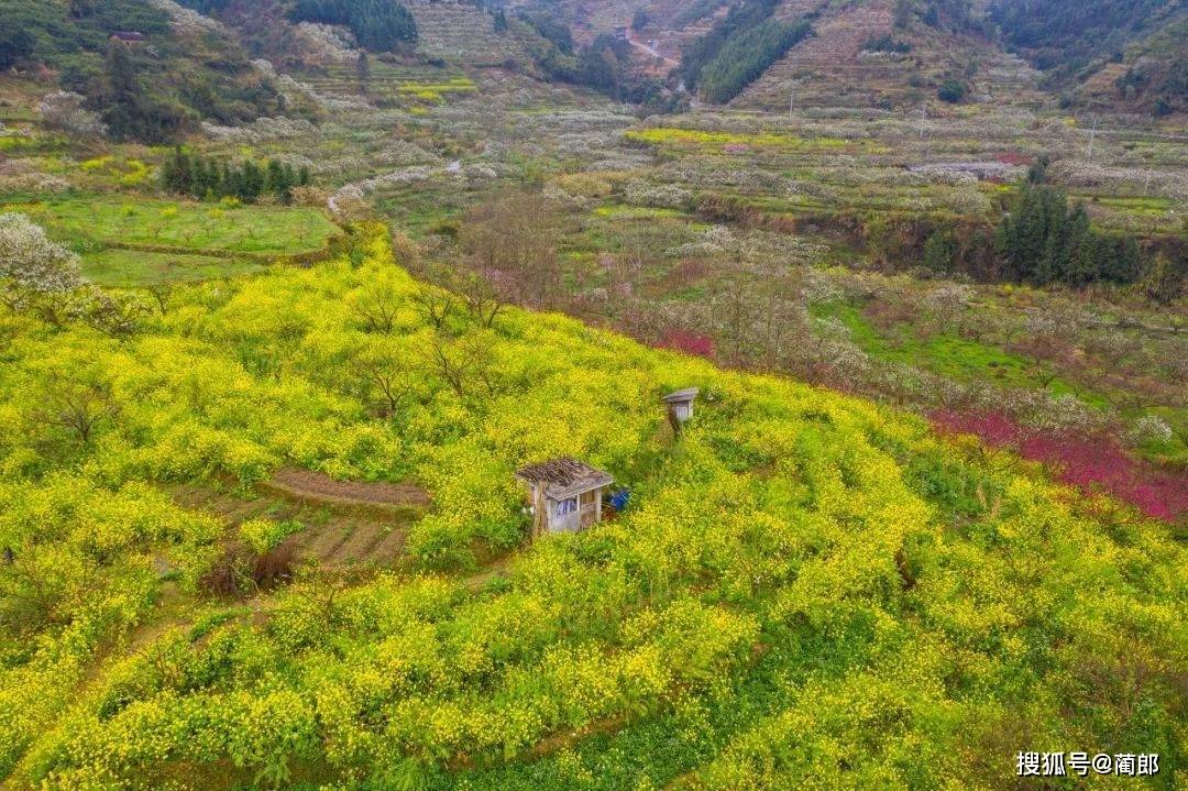 浙江十大必玩景点