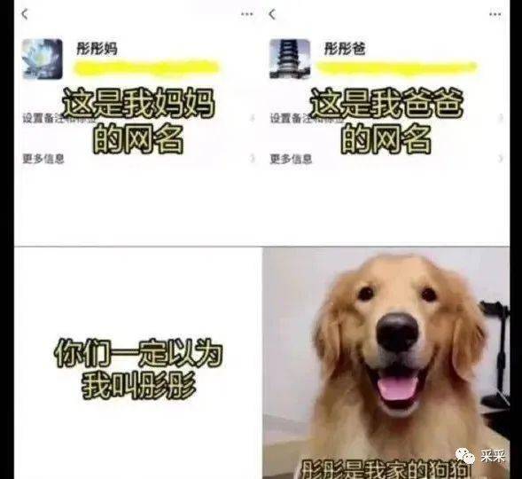 目生的HR要给你工资？！丨搞笑囧图