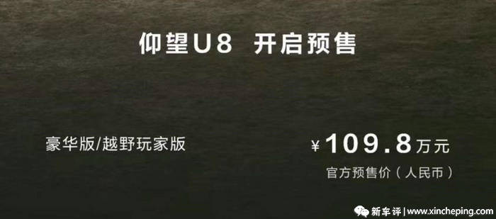 中国人没资格吃MINI的冰淇淋？仰望U8预售109万抢着订！