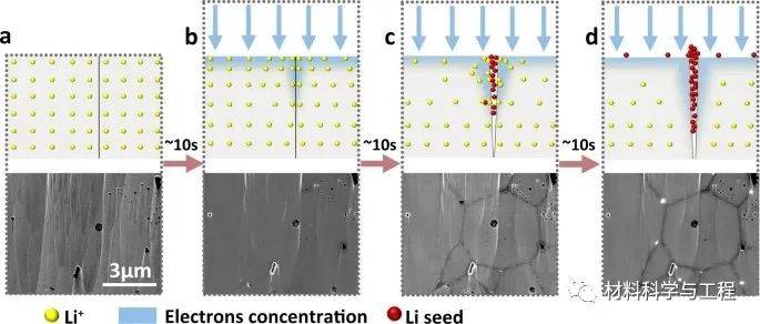 马普所《nature commun》：原位显微技术揭示晶界处锂枝晶演变！