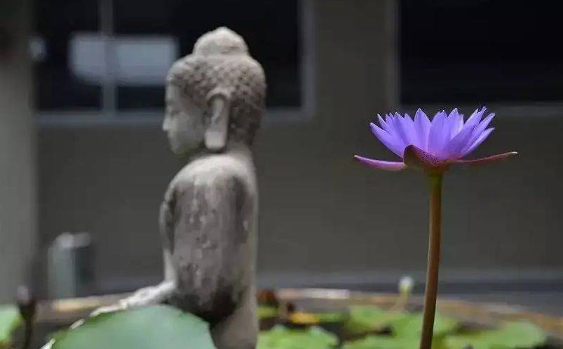 大势至菩萨化身——印光法师的传奇人生