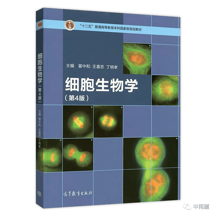 文章配图-10