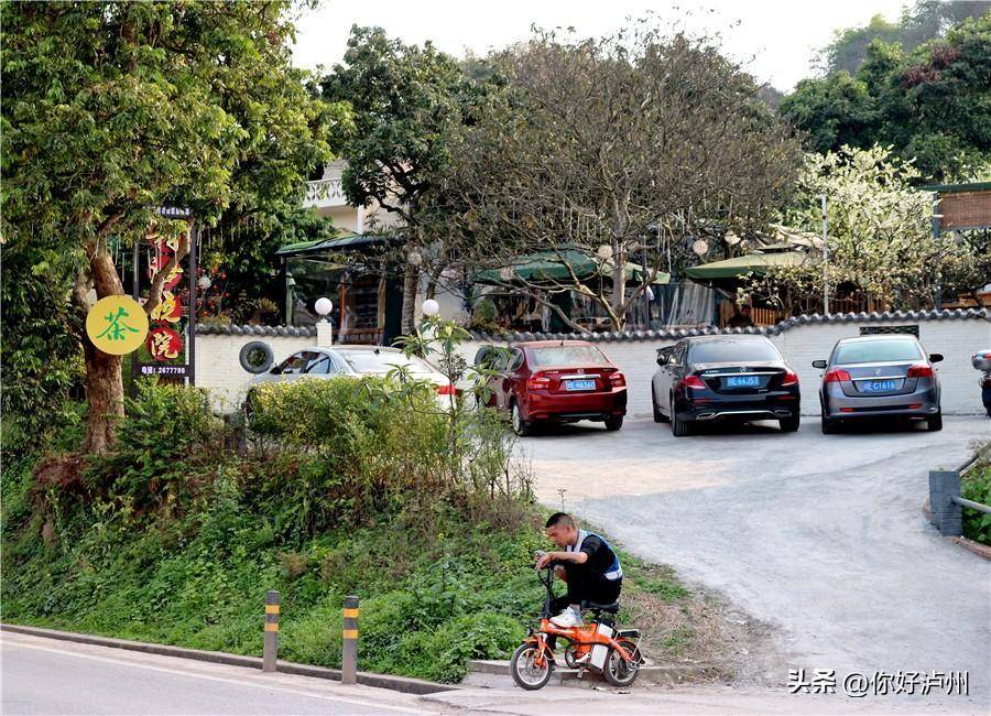 农家乐重出江湖泸州这片区域未来必将成为一张特别的名片开云APP 开云官网入口(图14)