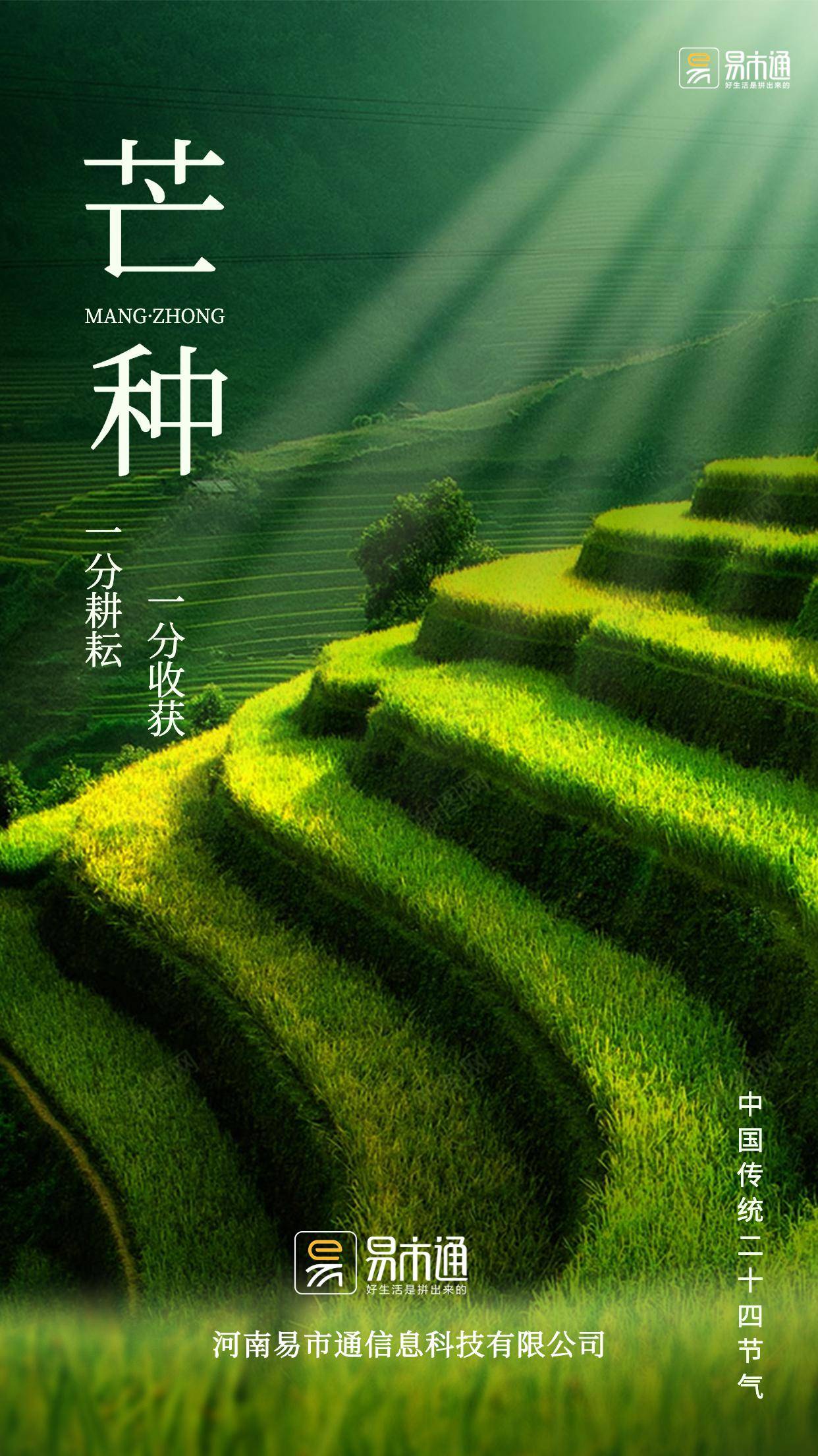 野皆插秧，时雨及芒种！四野皆插秧，时雨及芒种！一分耕耘，一分收获！
