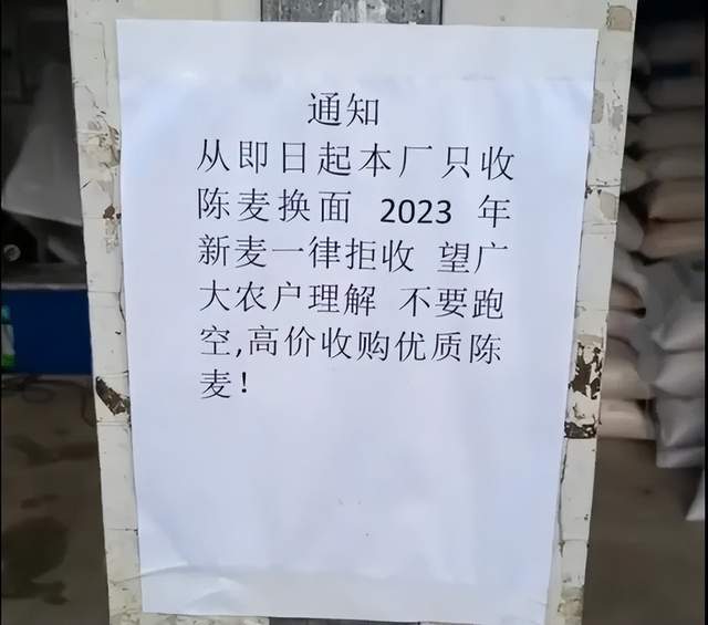 原创2023年小麦保护价1.17元/斤，农民实卖粮价1元左右，为啥没启动？