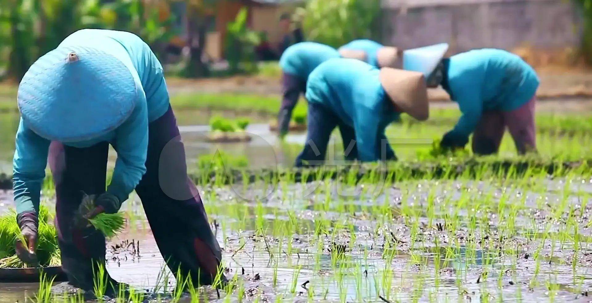 雷竞技RAYBET人不能过度运动我朋友的爸爸今年61刚退休就不行了(图2)