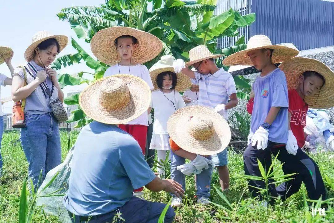 假期怎么安排？必一运动官网打开这份大湾区国际化学校夏令营活动参考(图3)