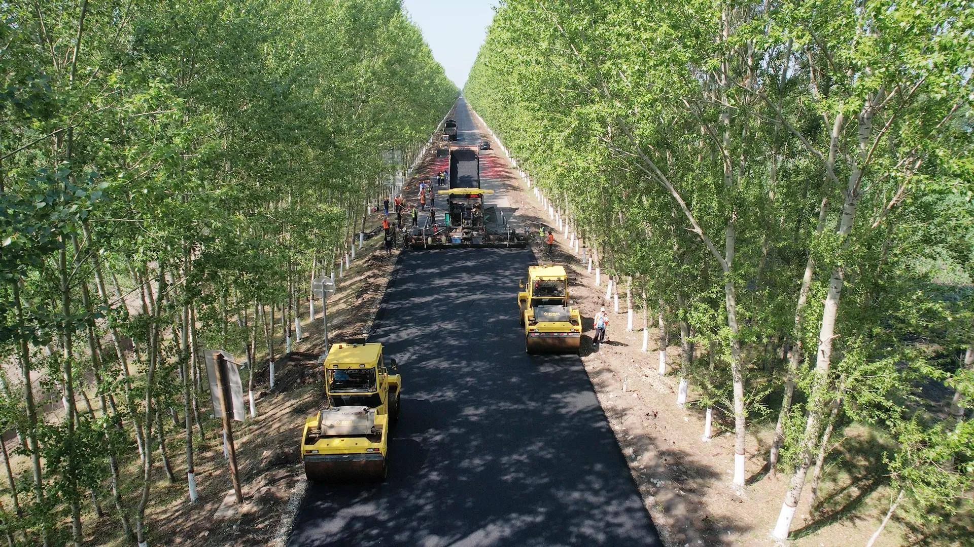 开云 开云体育官网黑龙江国省干线公路质量