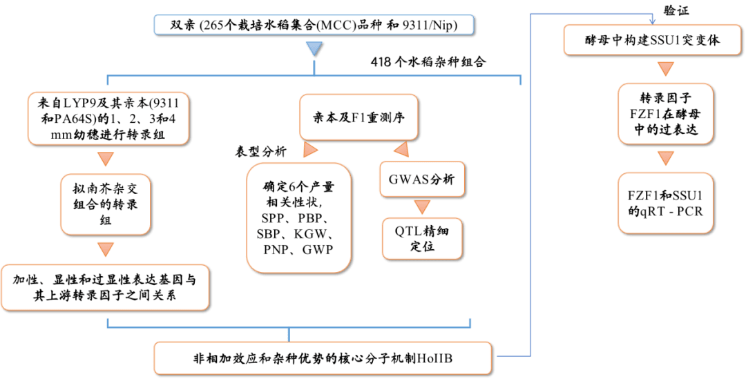 GB：重测序+转录2023经典文章，一篇就够