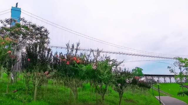 雷火 雷火电竞 app在武汉黄陂大山里体验高空玻璃天桥：扶护栏走一圈鸟瞰森林风景(图2)