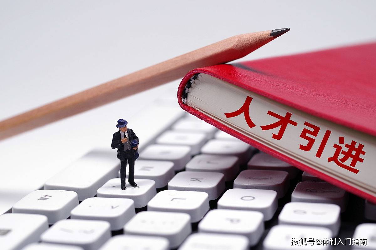 高端人才引进政策包括哪些内容?