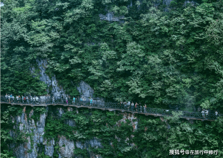 远方有你“张家界”人间仙境-游玩4天旅游攻略